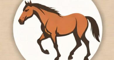 Dropped Fetlock Horse