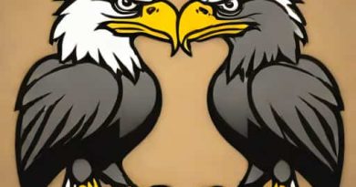 Eagles Steelers Scuffle