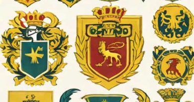 Fases Do Movimento Armorial