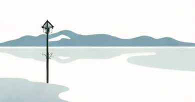 Foyle Bleak Midwinter