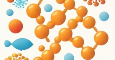 Function Of Amylase Enzyme