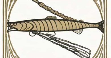 G Loomis Crosscurrent Pro 1