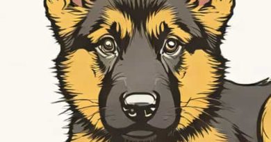 German Shepherd Puppy Price