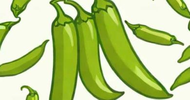 How Hot Are Serrano Peppers