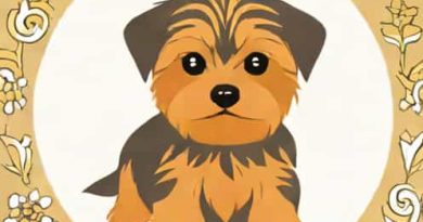How Much Are Yorkie Puppies