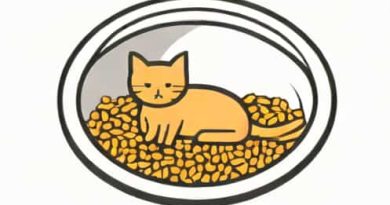 How Much Cat Litter In Tray