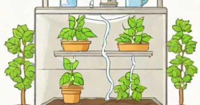 How To Humidify A Grow Tent
