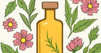 Huile De Nigelle Comestible