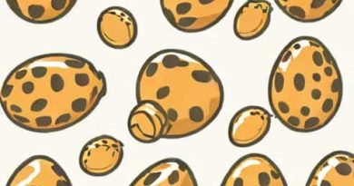 Is Quail Eggs Good For Dogs