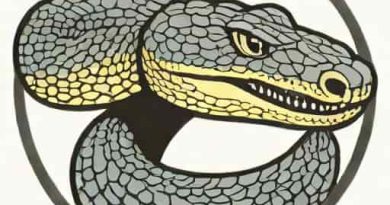 Jon Voight Anaconda