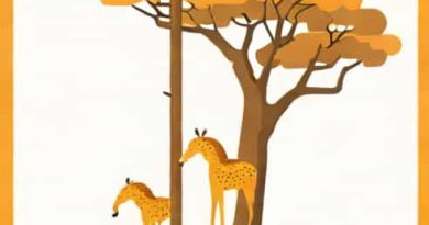 Juma Kakere Pole Kwa Safari