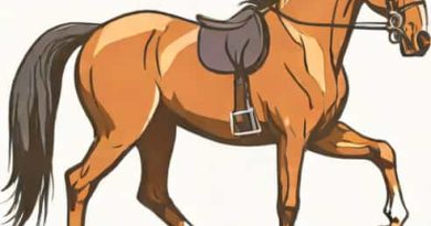 Kcd Racehorse Or Heavy Duty