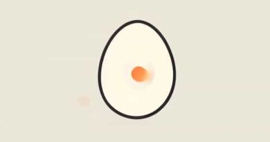 Next Arc After Egghead