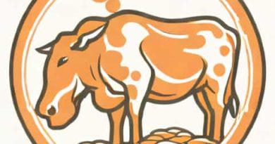 One Cause Of Ruminant Bloat
