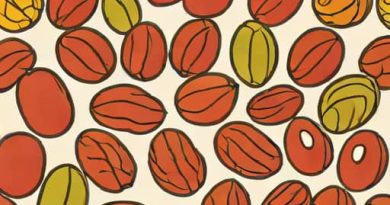Organic Dried Jujube California