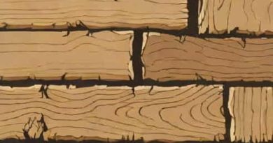 Outdoor Rotted Wood Filler