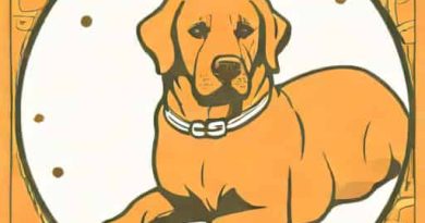 Prognosis Maurice De Hond