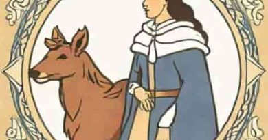Queen Of The North Anne O Brien