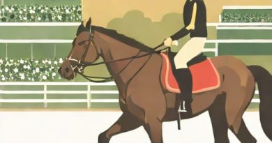 Ridden More Than Seattle Slew