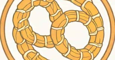 Role Of Cartilaginous Rings In Trachea