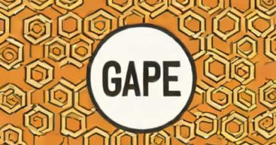 Sentence With The Word Gape