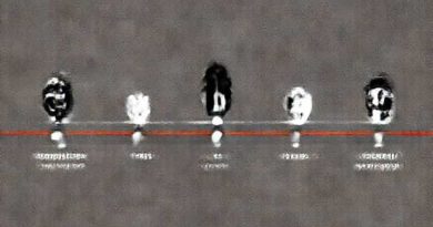 The Herero Genocide Timeline