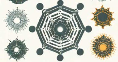 The Mandelbrot Set Explorer