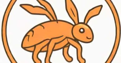 Tularemia Vector Which Tick