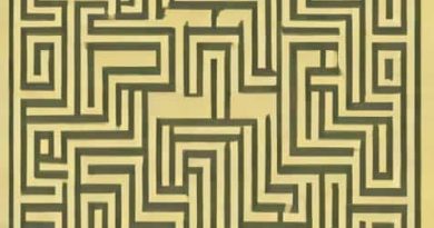 Unique Biara Amazonian Maze