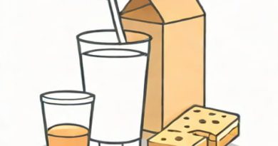 Unsweetened Non Dairy Milk