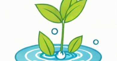 Use Of Water In Germination