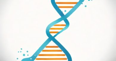 Uv Light Damages Dna By Causing