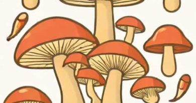 What Are Chestnut Mushrooms