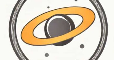 What Did Newton Hypothesize