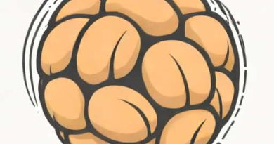 What Is A Monkey Fist