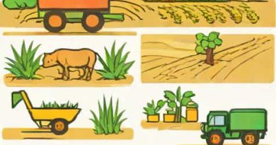 What Is Agrarian Revolution