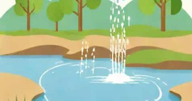What Is Runoff In Hydrology