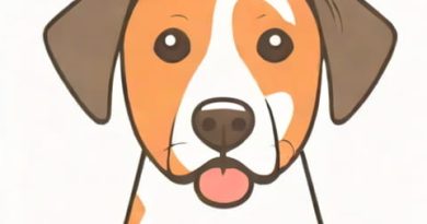 What Is Seborrhea In Dogs