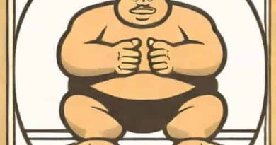 What Is Sumo Wrestling