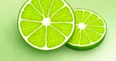 Xanthosoma Lime Zinger Care